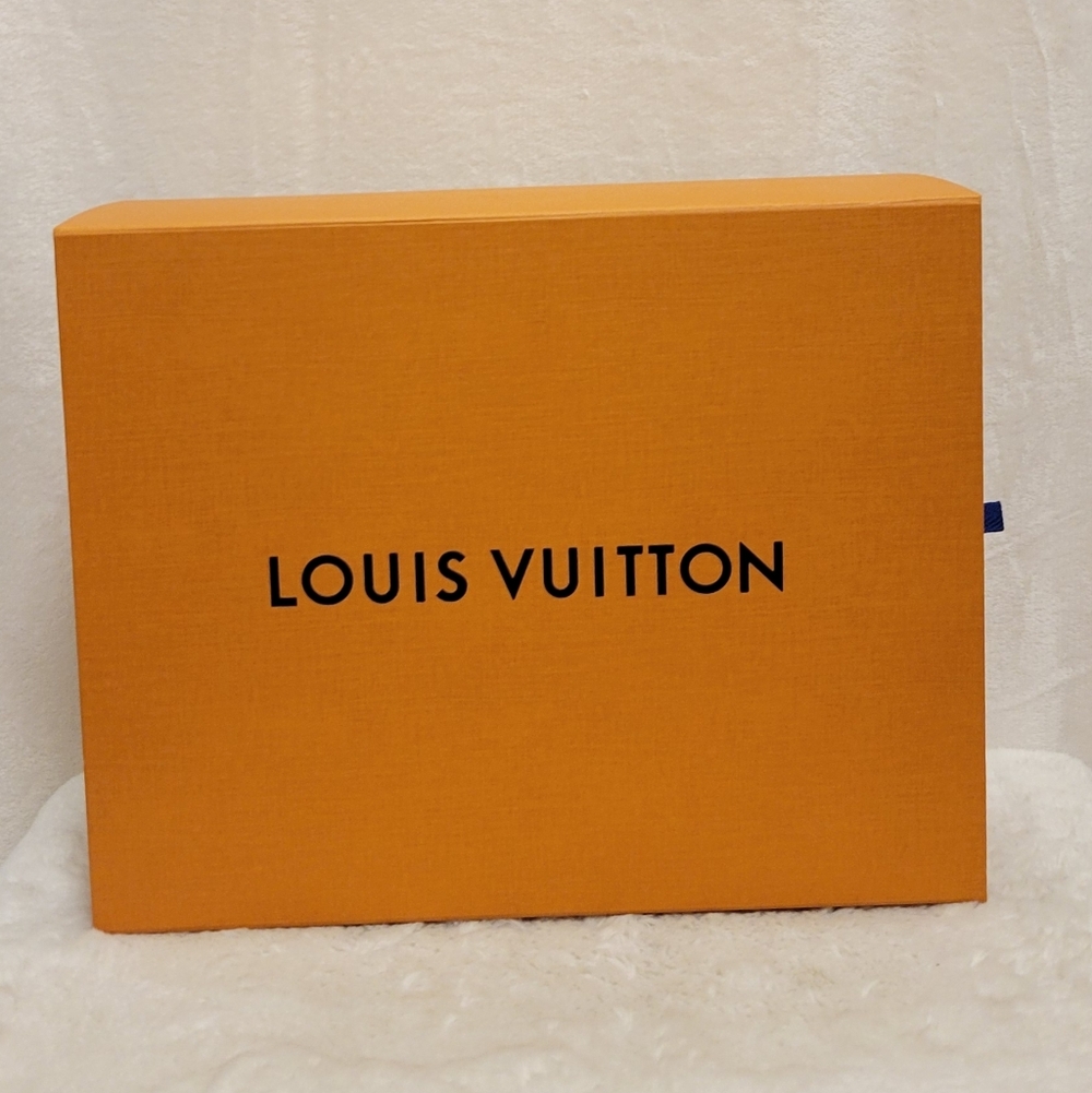 Louis Vuitton Shoe Box
